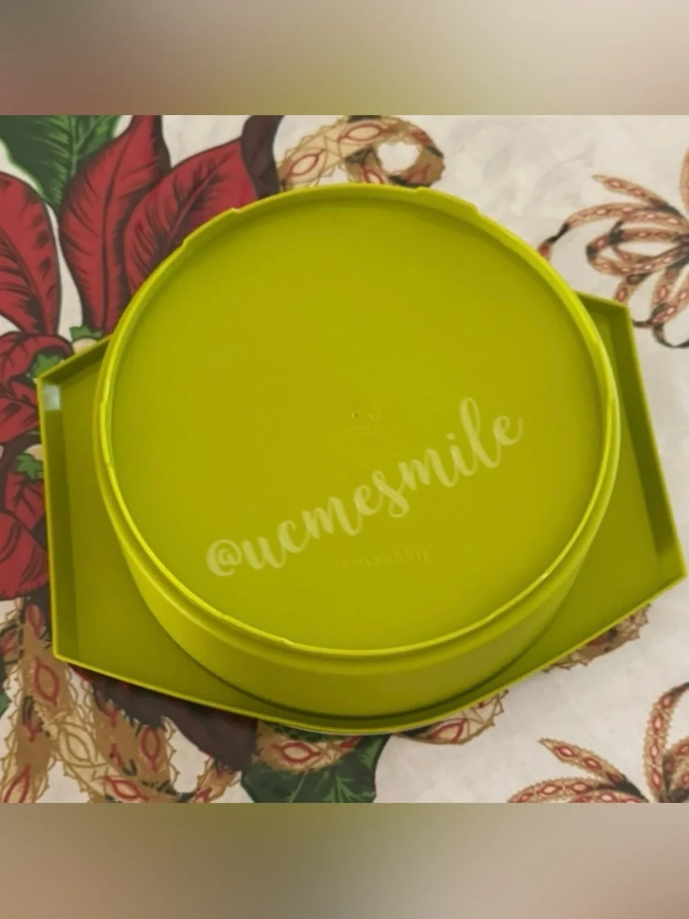 Tupperware Green Tortilla Keeper